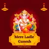 About Mere Ladle Ganesh Song